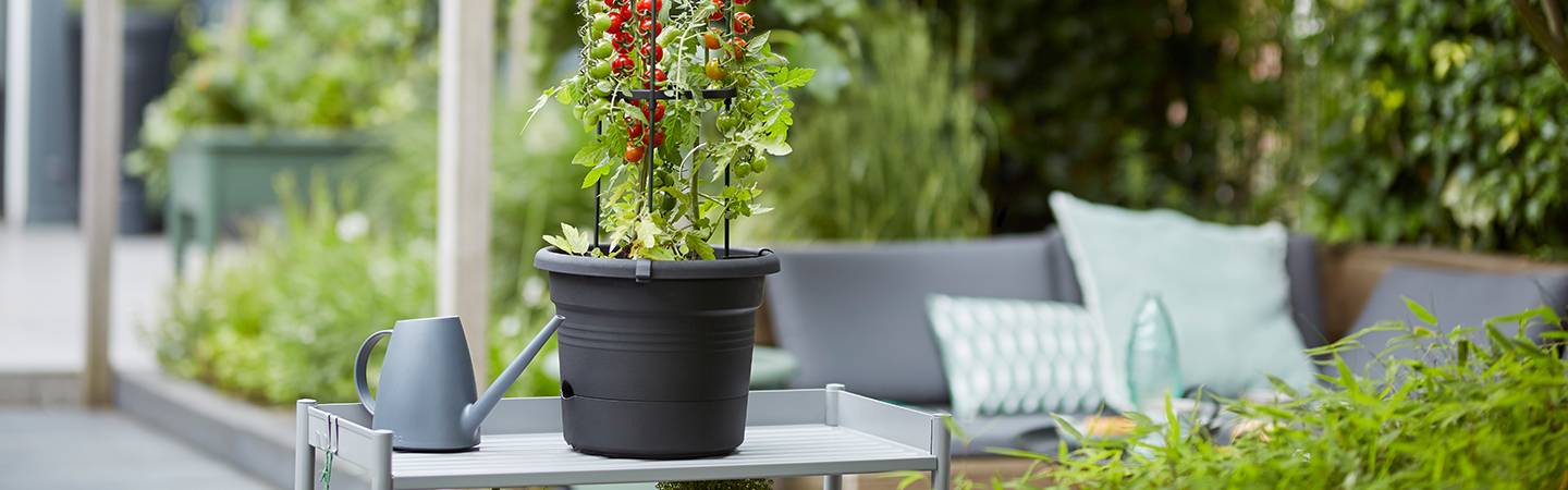 green basics tomaten pot 33cm living black